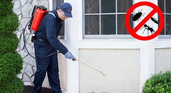 Laçin Kemirgen İlaçlama böcek ilaçlama ve haşere kontrolü — ilaclama-tr.com